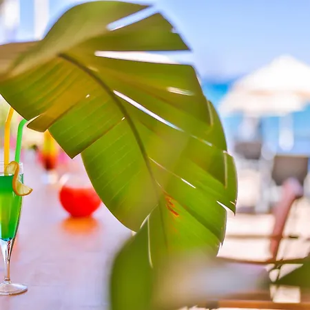 Mare Garden Акьярлар