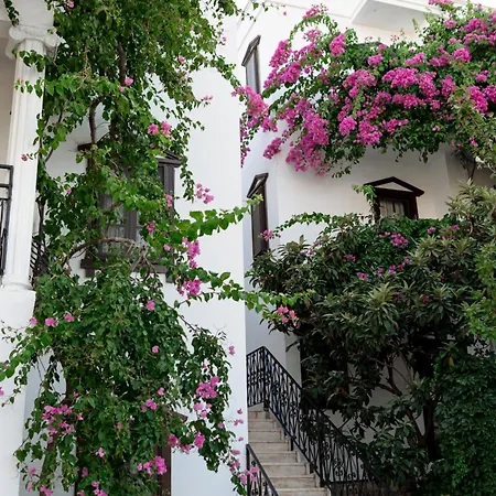 Mare Garden