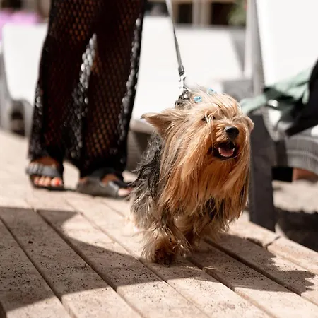 Mare Garden Отель *