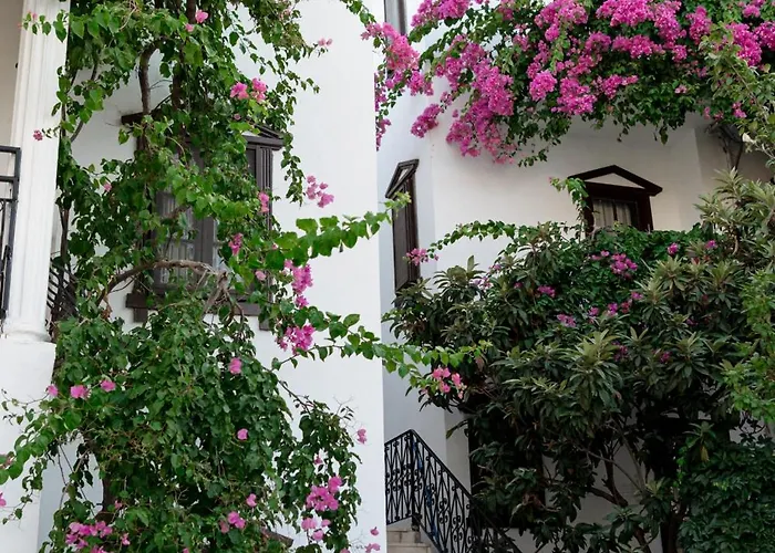 Mare Garden