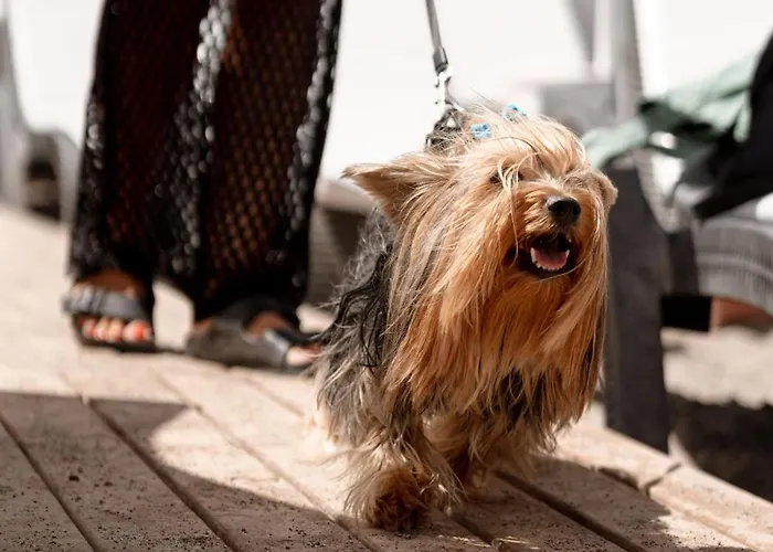 Mare Garden 酒店 *