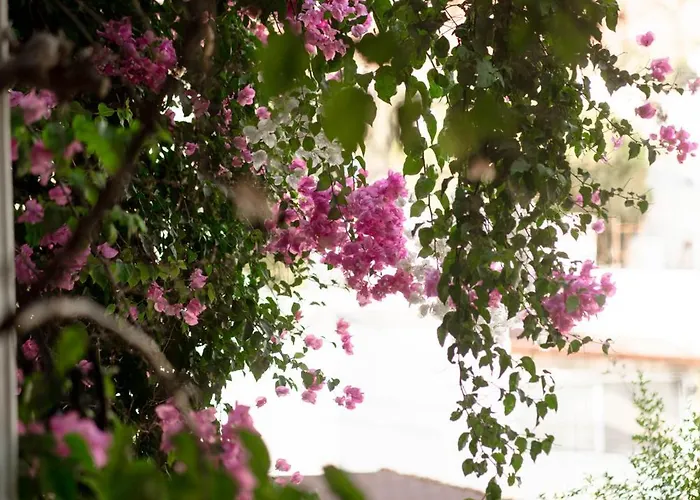 Mare Garden * 阿克亚拉尔