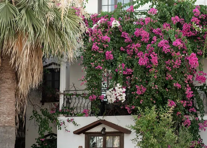Mare Garden