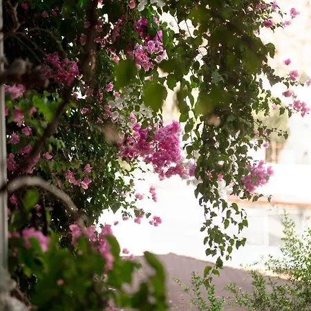 Mare Garden * Akyarlar