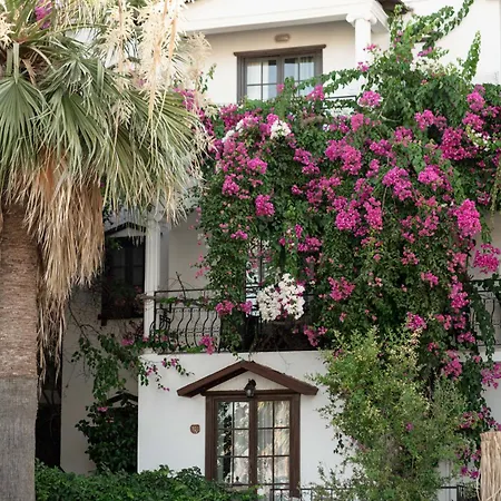 Mare Garden