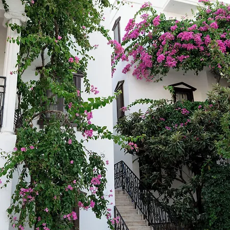 Mare Garden